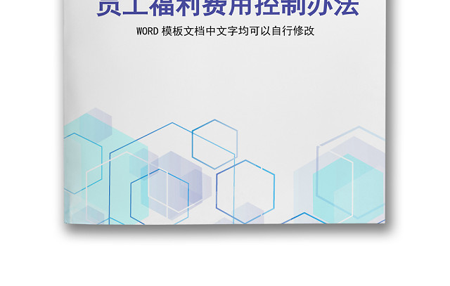 彩色简约公司员工福利费用控制方法WORD模板