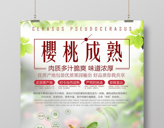 小清新樱桃成熟车厘子樱桃水果促销海报