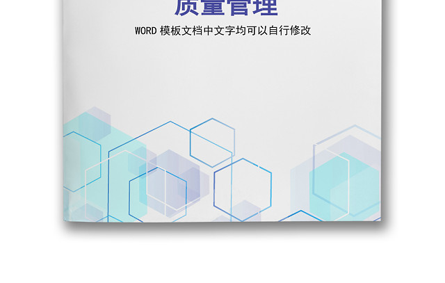 彩色简约正式公司工厂质量评定标准质量检查WORD模板
