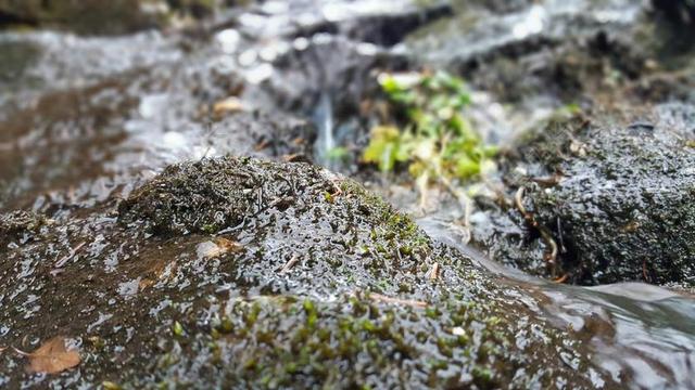 水 自然 户外 河 水背景 自然背景 新鲜 春 溪 流动