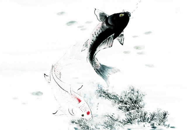 水草鲤鱼素材