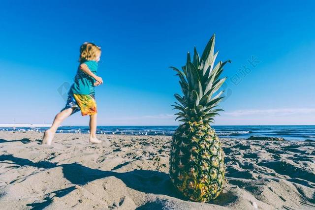 海滩 鸟 蓝色的天空 男孩 儿童 水果 地平线 湖 菠萝
