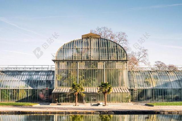 温室 花园 植物 园艺 绿色 水 花店 花的 在室内 园丁