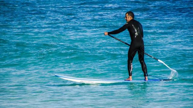 PADDLEBOARDING 运动 桨 板 立场 海 生活方式