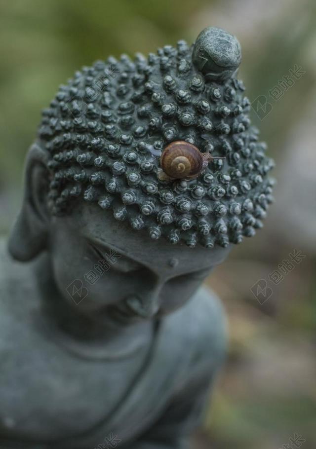 佛 蜗牛 佛教 宗教 纯 平静 冥想 禅宗 雕像 慢