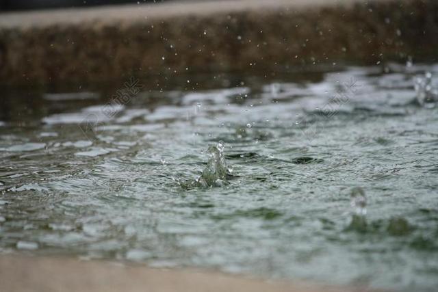 启动画面 水 滴 液体 新鲜 特写 湿 雨 降雨 雨点