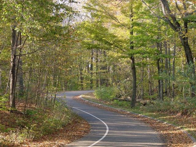 清路 森林 路径 路 旅行 曲线 农村 公路 沥青 现场