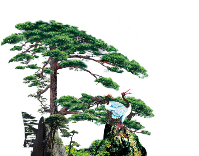 丹顶鹤苍松中国风素材