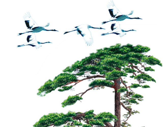 丹顶鹤苍松风景画素材