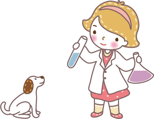 实验