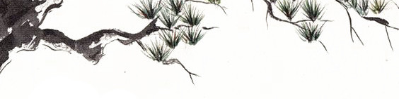 松枝素材