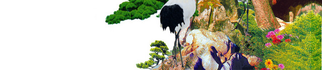青松白鹤素材