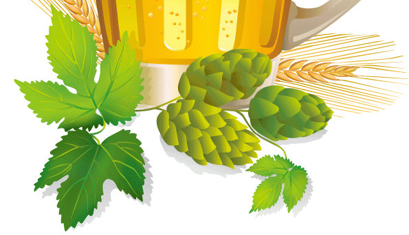 夏季啤酒素材