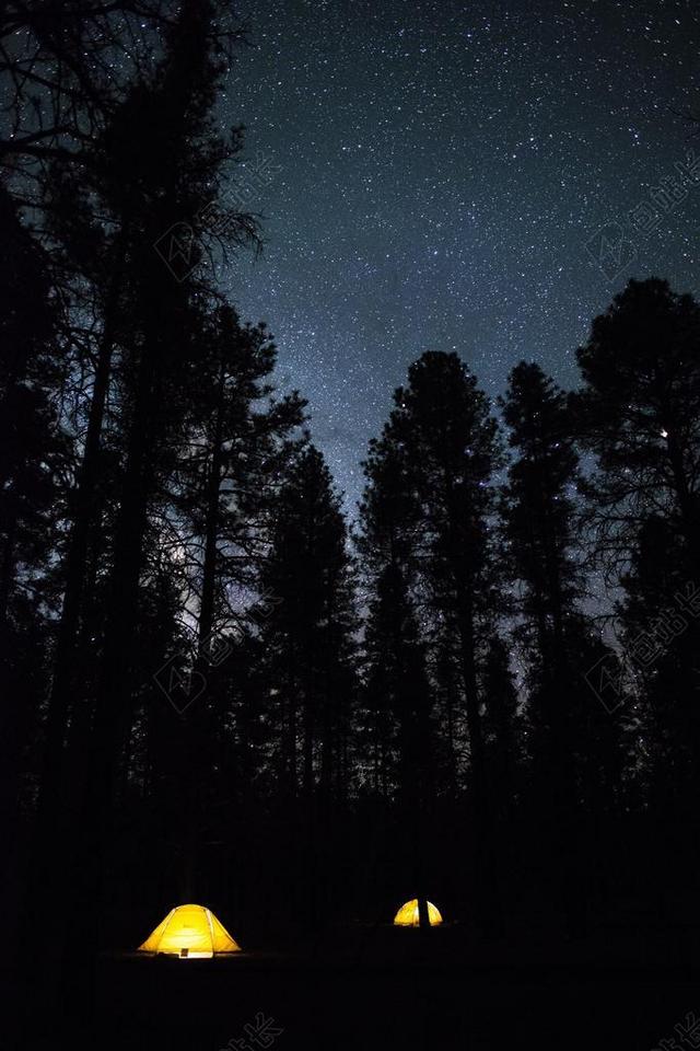 露营 夜 帐篷 娱乐 生活方式 乐趣 森林 星星 银河