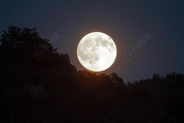 夜景夜晚树梢上的月亮背景图片