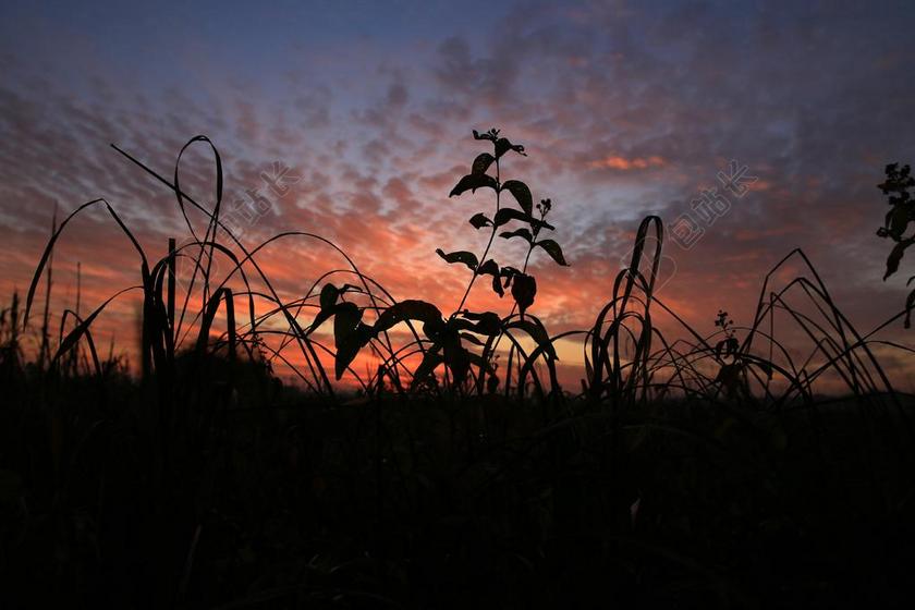 波兰 云 日落 天空 景观 秋 晚上 波兰村 远足径 性质