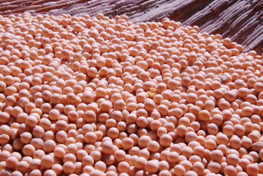 黄色食物摊开来的黄豆杂粮五谷食材背景图片