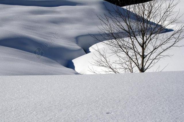 雪 雪景 闪光 太阳 冬天 冷 雪地 寒冬 瑞士