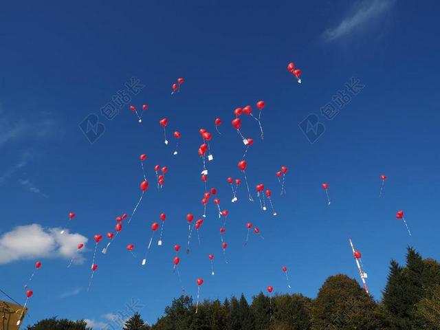 气球 飞 婚礼 祝贺 上升 升级 心 爱情 浪漫 爱