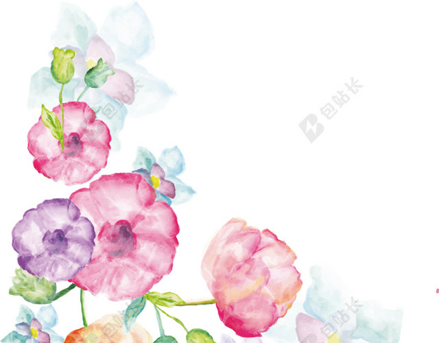 花朵免抠素材