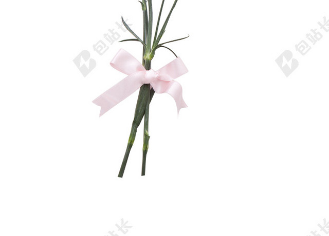 花朵免抠素材