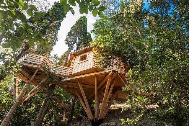 建筑森林间的木头小屋背景图片