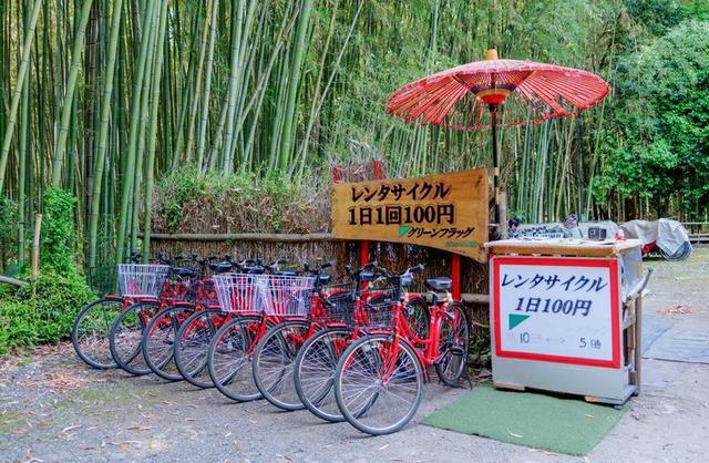 日本 岚山 竹林 自行车 伞 自然 绿色 夏天 户外
