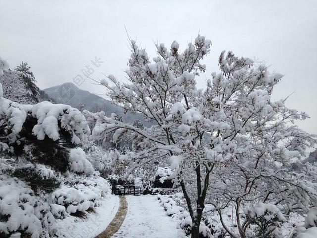 白色清新唯美雪景背景图片