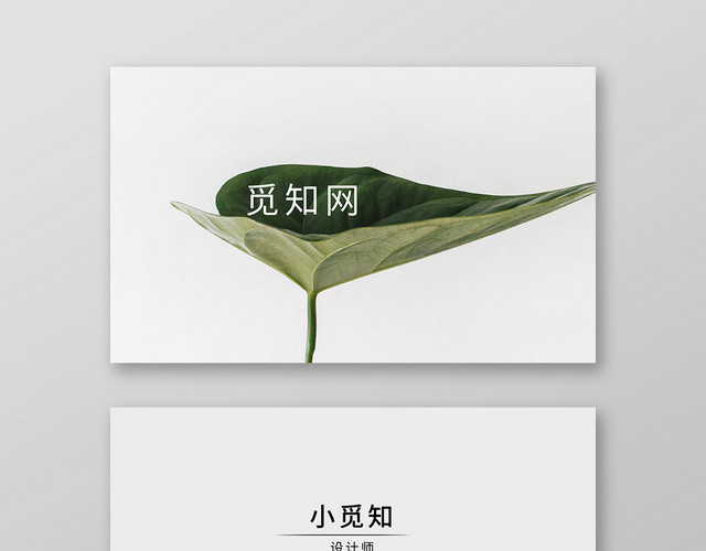 小清新时尚简约高端个人商务通用名片模板