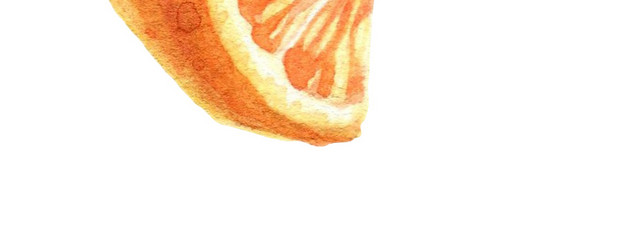 橙子手绘水彩插画