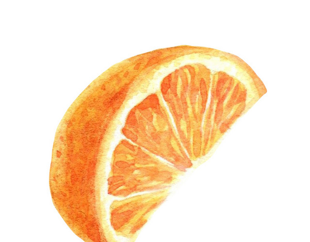 橙子水果手绘水彩插画