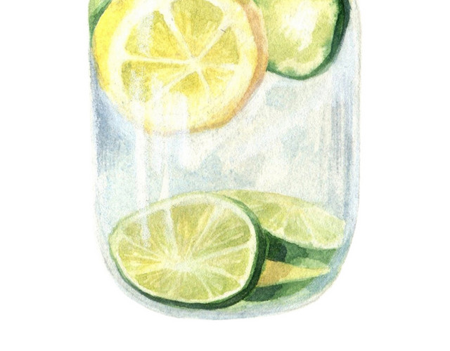 手绘柠檬水水彩插画