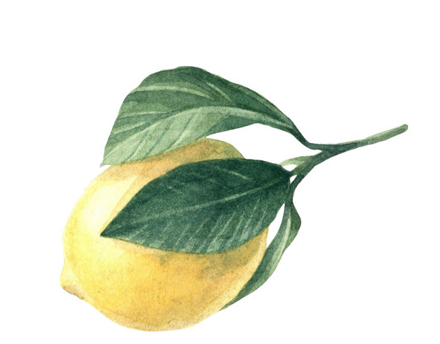 手绘柠檬水彩插画