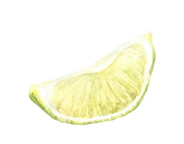 手绘柠檬水果水彩插画