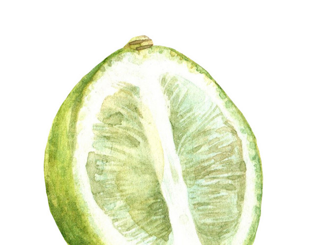 手绘青柠水彩插画