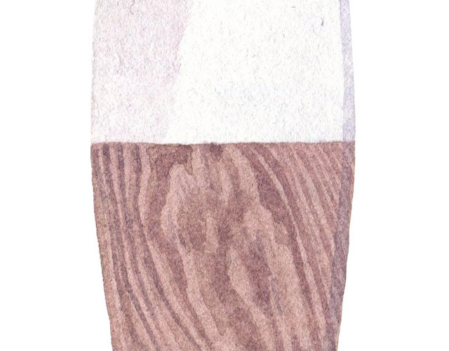 手绘滑板水彩插画