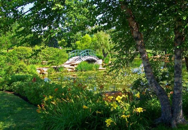 莫奈 桥 公园 夏天 艺术 植物 印象派 景区 湖 画家