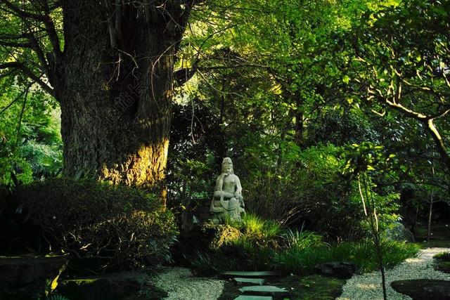 寺 日本 佛雕像 镰仓 K 佛教