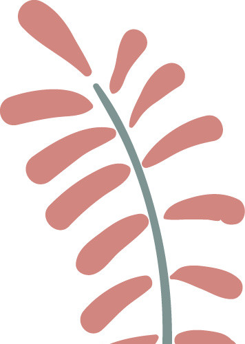 圣诞元素植物字背景素材