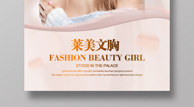 莱美文胸内衣服装服饰衣服服装店海报