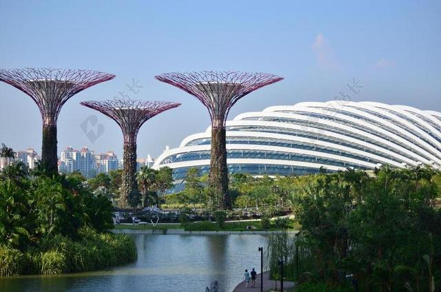 滨海湾 新加坡 亚洲 结构 现代 建设