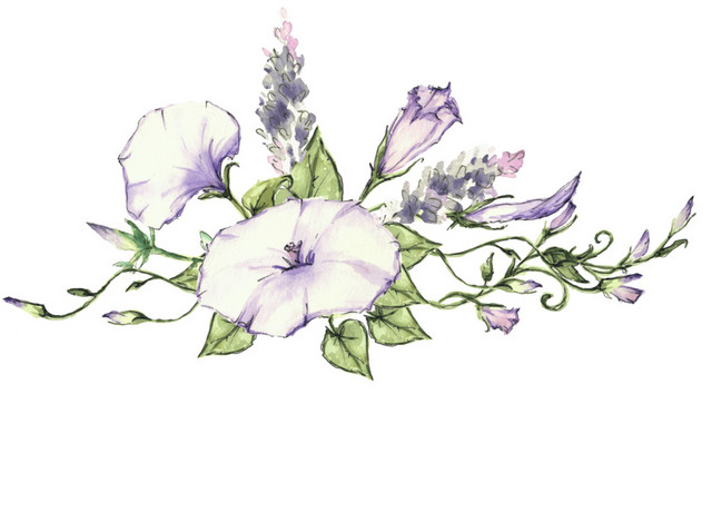 花朵藤蔓漫画卡通矢量素材