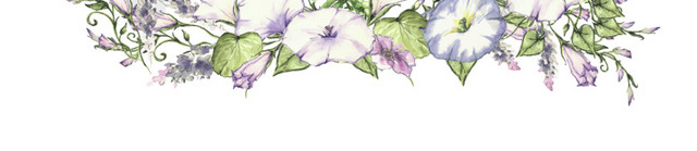 装饰花环矢量素材