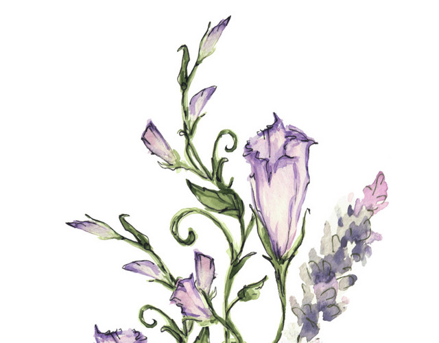 树叶花藤蔓矢量素材