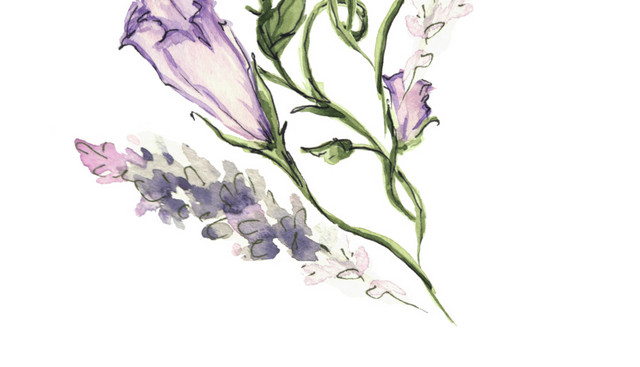 树叶花藤蔓矢量素材