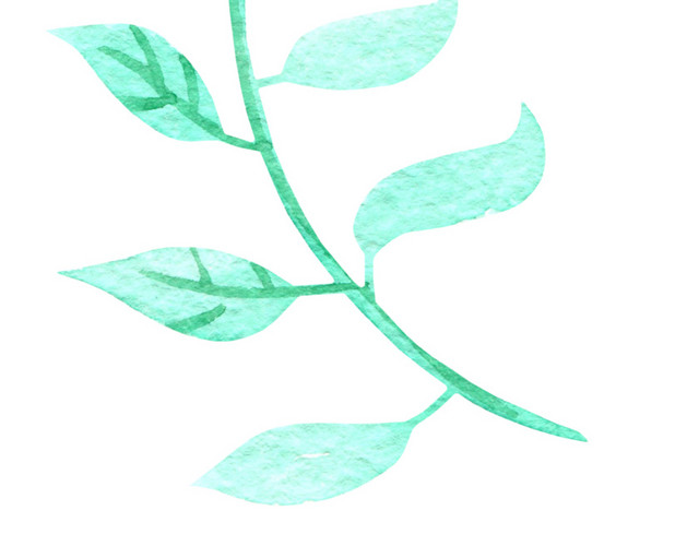 绿色树枝树叶彩绘矢量素材