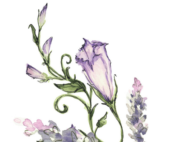 藤蔓花枝叶矢量素材