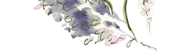 藤蔓花枝叶矢量素材