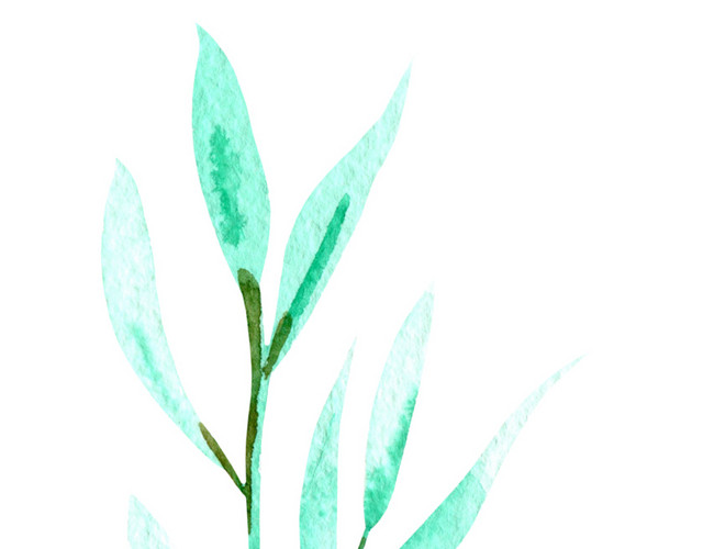 树枝树叶矢量素材