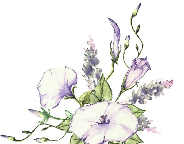花枝叶矢量素材